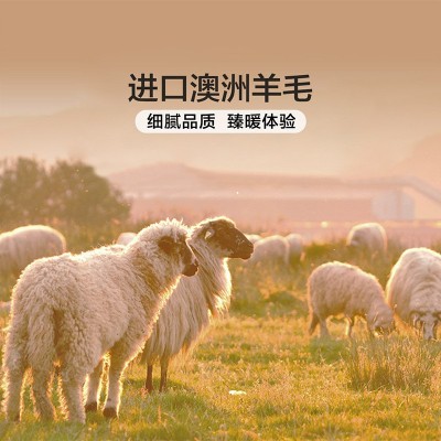 富安娜澳洲进口羊毛被冬被抗菌保暖夏季被芯四季通用春秋加厚被子图3
