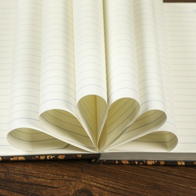 环保礼品商务办公咖啡渣笔记本绿茶记事本A5礼盒套装可定再生FSC 2本图3