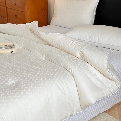 简约轻奢全棉提花大豆纤维被芯双人春秋被子加厚保暖冬被床上用品 1床图2