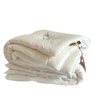 简约轻奢全棉提花大豆纤维被芯双人春秋被子加厚保暖冬被床上用品 1床图5