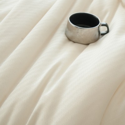 ins简约全棉3D提花大豆被子被芯秋冬加厚保暖200*230cm双人被芯 1床图3