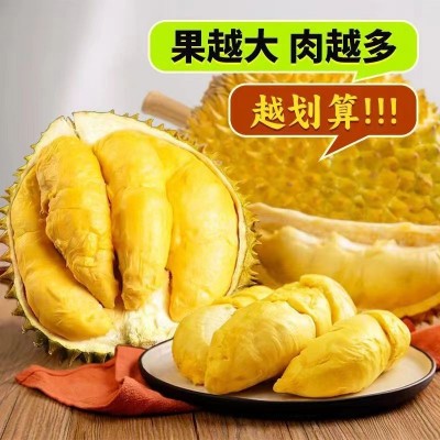 金枕榴莲鲜果斤进口榴莲新鲜顺丰包邮包软糯香甜巴掌榴莲源头批发 1斤图5