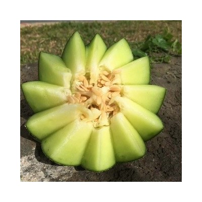 网纹瓜多汁当季清甜蜜瓜冰淇淋甜瓜新鲜哈密瓜专属于农场直发包邮  1斤图4