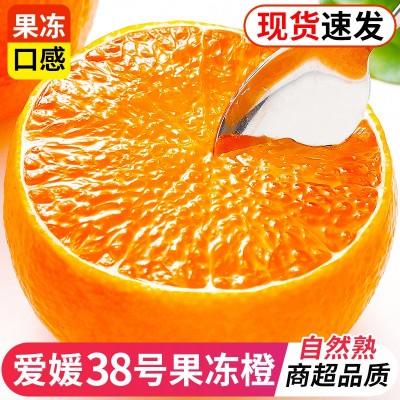 爱媛8号果冻橙新鲜橙子9斤当季水果正宗四川甜柑橘蜜桔大果整箱 1斤