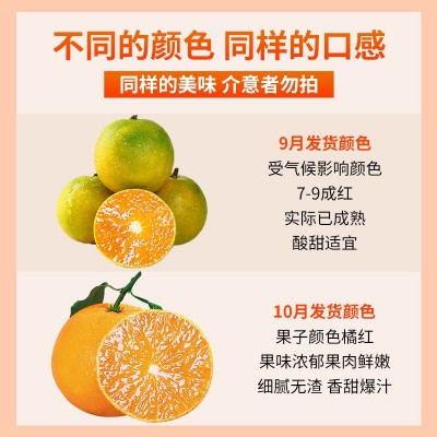 爱媛8号果冻橙新鲜橙子9斤当季水果正宗四川甜柑橘蜜桔大果整箱 1斤图2