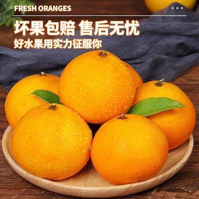 爱媛8号果冻橙新鲜橙子9斤当季水果正宗四川甜柑橘蜜桔大果整箱 1斤图3