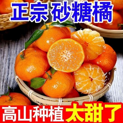 小橘子砂糖桔无籽砂糖橘正宗砂糖桔桔子新鲜橘子当季时令水果包邮 1斤图2