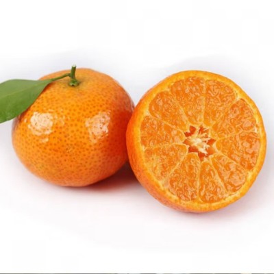 广西砂糖橘蜜广沙糖桔清香小蜜橘子酸甜蜜柑汁金秋砂糖桔新鲜水果 3斤图4