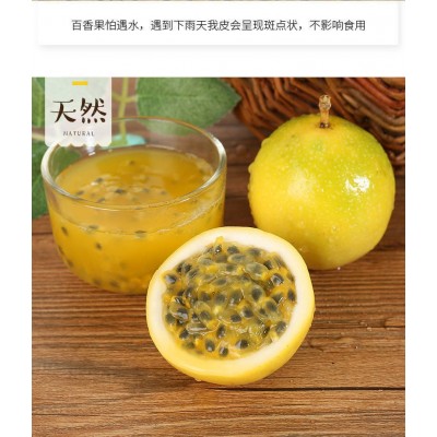 新鲜广西钦蜜黄金百香果大果热带孕妇水果黄皮果鸡蛋果整箱批发图5