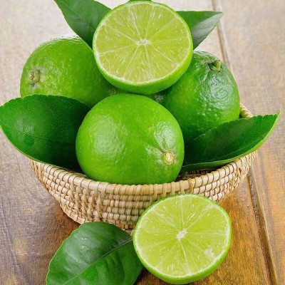 泰国塔西提品种无籽青柠檬新鲜皮薄多汁无籽柠檬果园直发批发包邮图5