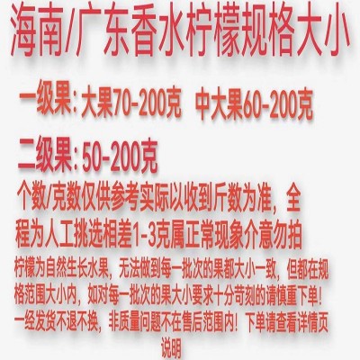广东香水柠檬无籽青柠檬热带新鲜水果一级海南柠檬批发奶茶店专用图4