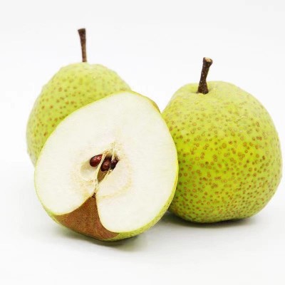 正宗莱阳梨慈梨脆甜多汁山东贡梨批发代发礼盒装整箱新鲜应季水果图4