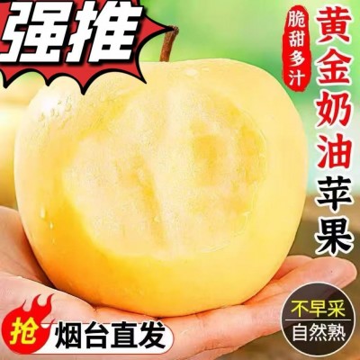 正宗烟台黄金奶油富士苹果新鲜水果应季冰糖心脆甜多汁整箱批发