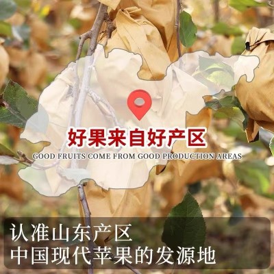 正宗烟台黄金奶油富士苹果新鲜水果应季冰糖心脆甜多汁整箱批发图4