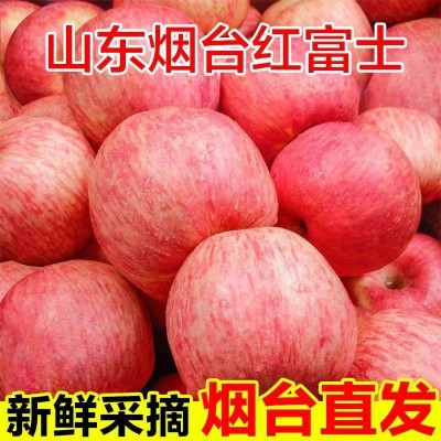 山东烟台红富士苹果生鲜水果新鲜应季脆甜整箱批发【全年供应】图3