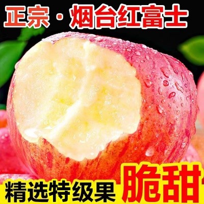 山东烟台红富士苹果生鲜水果新鲜应季脆甜整箱批发【全年供应】