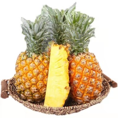 金钻凤梨9斤整箱现摘水果10包邮批发5斤云南海南手撕菠萝当季水果图5
