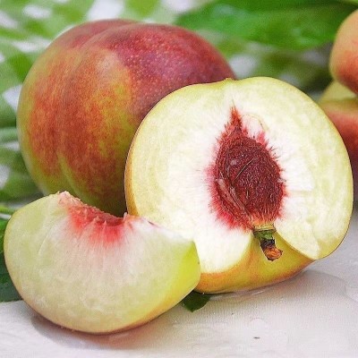 正宗山东青州蜜桃5斤整箱新鲜应季水果3批发包邮10当季毛桃脆桃子图3
