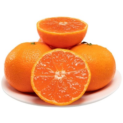 浙江涌泉蜜桔当季橘子蜜橘整件包邮新鲜水果涌泉蜜桔一件代发 1件