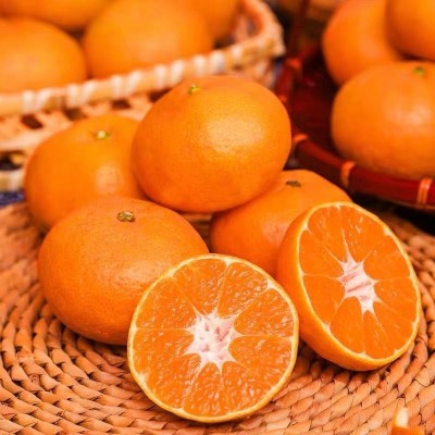 浙江涌泉蜜桔当季橘子蜜橘整件包邮新鲜水果涌泉蜜桔一件代发 1件图2