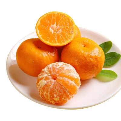 浙江涌泉蜜桔当季橘子蜜橘整件包邮新鲜水果涌泉蜜桔一件代发 1件图5