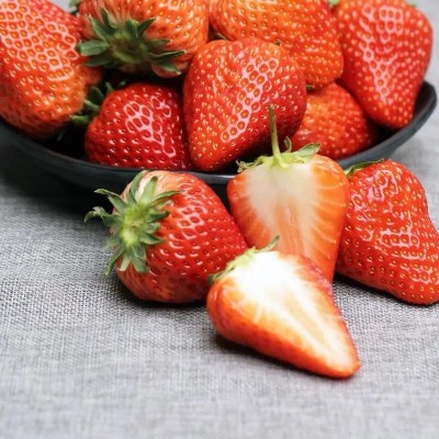 山东奶油草莓产地直发当季早期草莓包邮新鲜水果草莓一件代发 1件图3