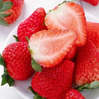 山东奶油草莓产地直发当季早期草莓包邮新鲜水果草莓一件代发 1件图2