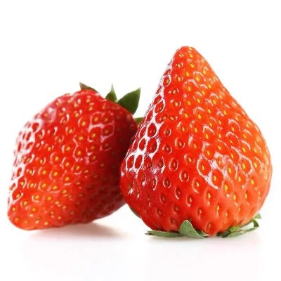 山东奶油草莓产地直发当季早期草莓包邮新鲜水果草莓一件代发 1件图5