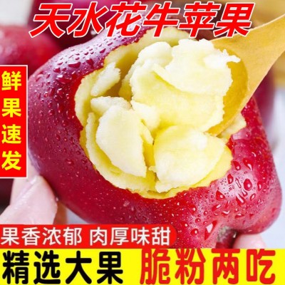 【越放越粉甜】花牛苹果甘肃蛇果当季新鲜粉面沙甜整箱10/5斤批发图2