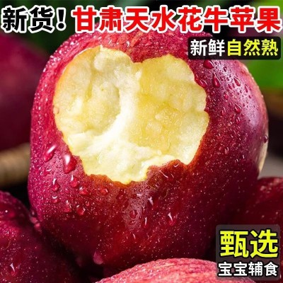 【越放越粉甜】花牛苹果甘肃蛇果当季新鲜粉面沙甜整箱10/5斤批发