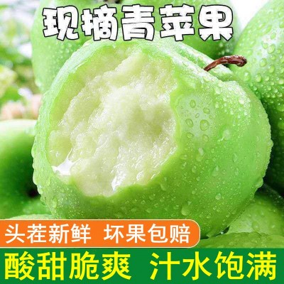 正宗青苹果酸甜当季新鲜孕妇水果陕西一整箱2-9斤批发非王林苹果图3