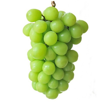 山东阳光玫瑰葡萄产地直发葡萄包邮新鲜水果阳光玫瑰一件代发  1件