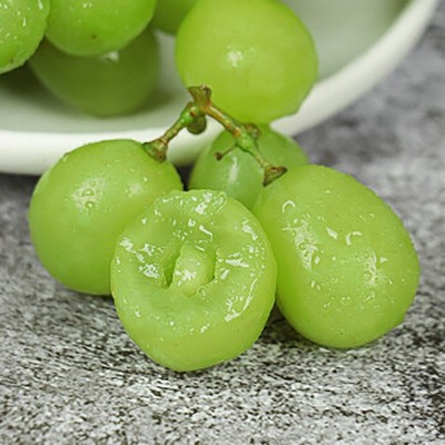 山东阳光玫瑰葡萄产地直发葡萄包邮新鲜水果阳光玫瑰一件代发  1件图5