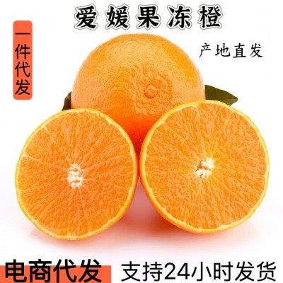 爱媛果冻橙一件代发爱媛手剥橙38号果冻橙柑橘水果橙子果冻橙批发 1件
