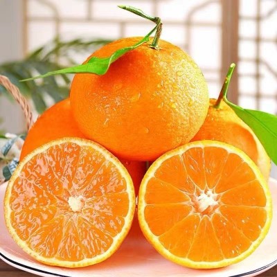 爱媛果冻橙一件代发爱媛手剥橙38号果冻橙柑橘水果橙子果冻橙批发 净重2斤中果65-70mm 1件图4
