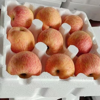 【电商代发】正宗烟台栖霞红富士苹果新鲜现摘应季水果脆甜爽口甜 1件图5