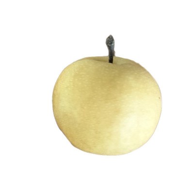 山东丰水梨新鲜水果当季时令水果批发电商直播产地直发支持代发 1件图4