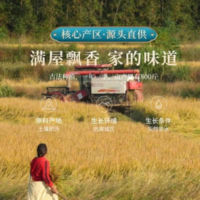 新米10斤一袋装当季新鲜现磨长粒香米煲仔饭大米5kg真空装送福利图3