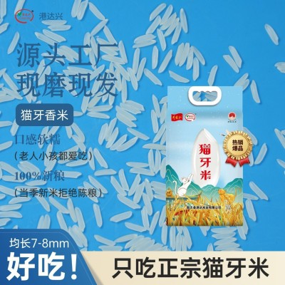 2025年当季现磨现发晚稻新米5kg新鲜长粒香米煲仔饭猫牙米10斤装图3