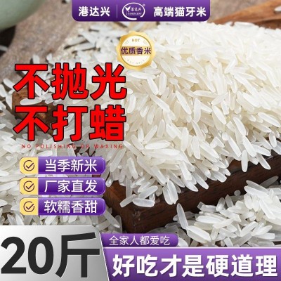 厂家批发2025年新米5kg当季新鲜现磨长粒香米煲仔饭猫牙米10斤装图2