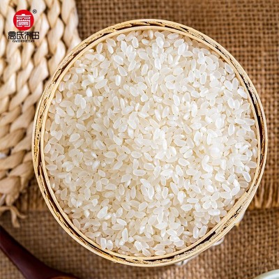 高氏禾田东北大米10斤一袋5kg家用黑龙江优质新米批发长粒香大米图3