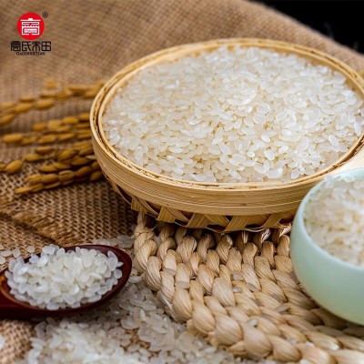 高氏禾田东北大米10斤一袋5kg家用黑龙江优质新米批发长粒香大米图2