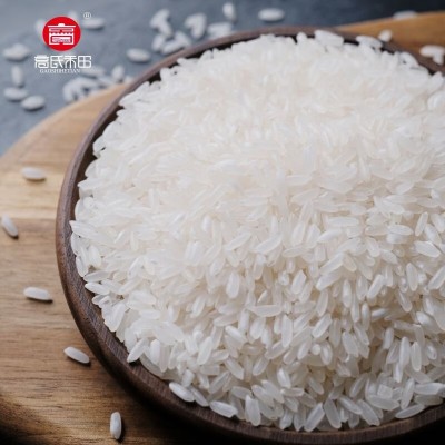 东北五常大米10斤5kg稻花香米黑龙江25年新米活动礼品长粒香大米图2