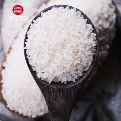 东北五常大米10斤5kg稻花香米黑龙江25年新米活动礼品长粒香大米