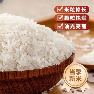 【山庄人】25新米梯田丝苗米5斤装团购批发企业福利礼品米优选大米图3