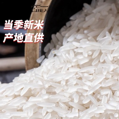 【山庄人】25新米梯田丝苗米5斤装团购批发企业福利礼品米优选大米图2