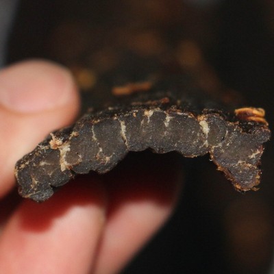 牛肉干风干手撕牛肉零食伴手礼代发追剧休闲小吃即食食品风干牛肉 1斤图4