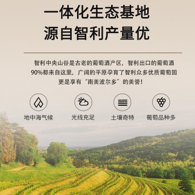 法国/澳洲原瓶进口赤霞珠干红葡萄酒750ml15%总代理招商批发图4