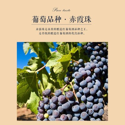 法国原瓶进口红酒高端节日送礼干红葡萄酒 750ml赤霞珠赤霞珠批发图3