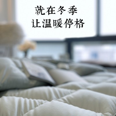 高端A类匹马棉95%白鹅绒被羽绒秋冬被芯保暖加厚双人结婚春秋被 1件图3
